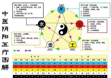 土生金|古人为什么说土生金呢？